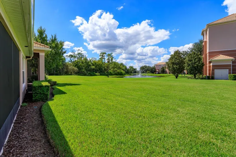 Lawn and pond