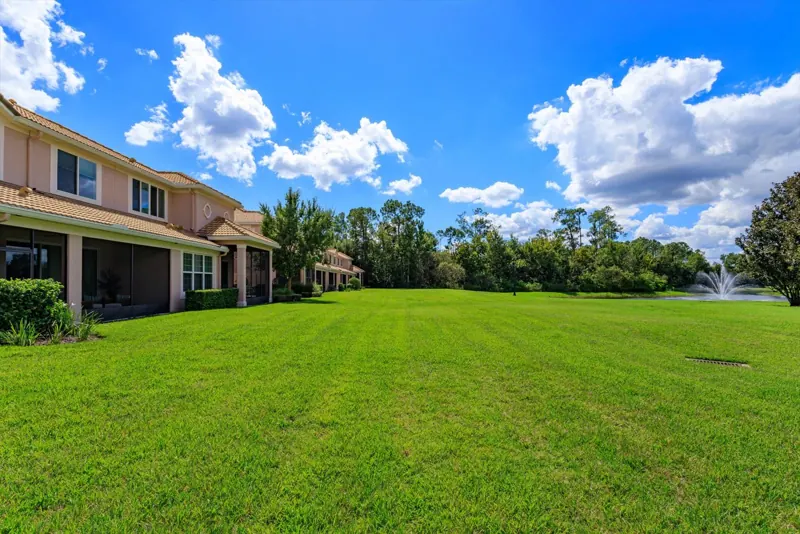 Lawn and pond